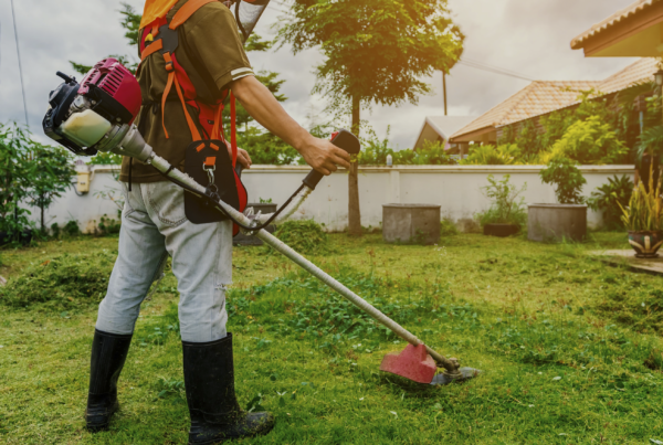 corso di manutentore del verde