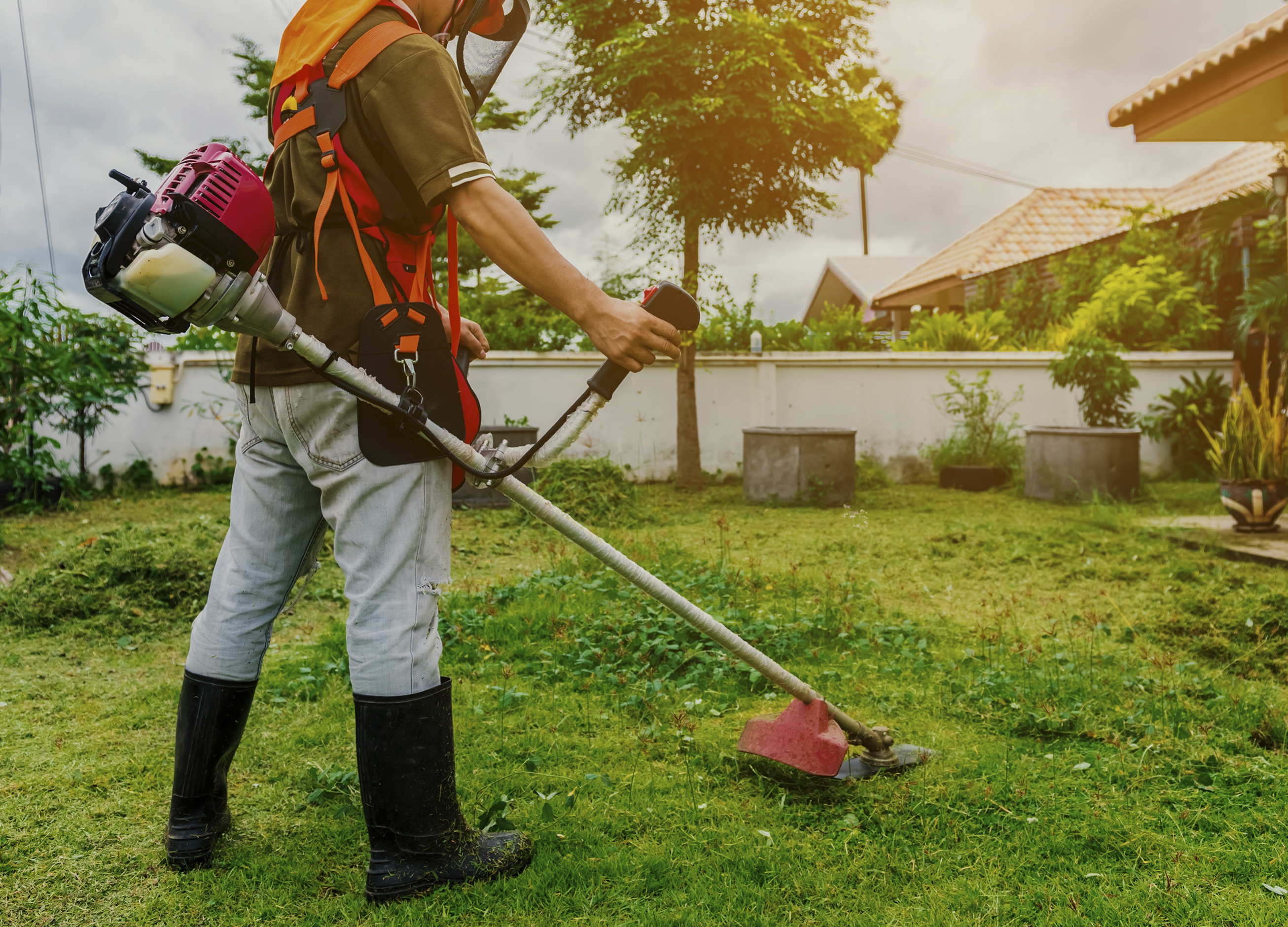 Corso di Manutentore Del Verde